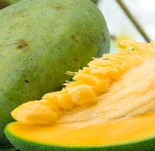 Glyco Harmony African Mango Seed Extract