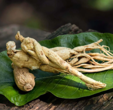 Glyco Harmony Panax Ginseng Aerial Extract